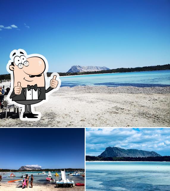 Brandinchi Chiosco spiaggia sud