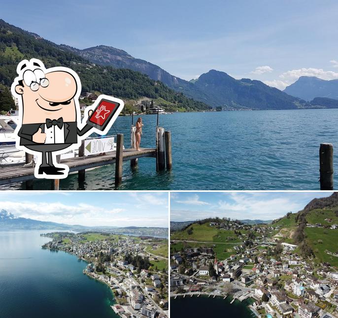 Guarda gli esterni di aifach"Lakeside