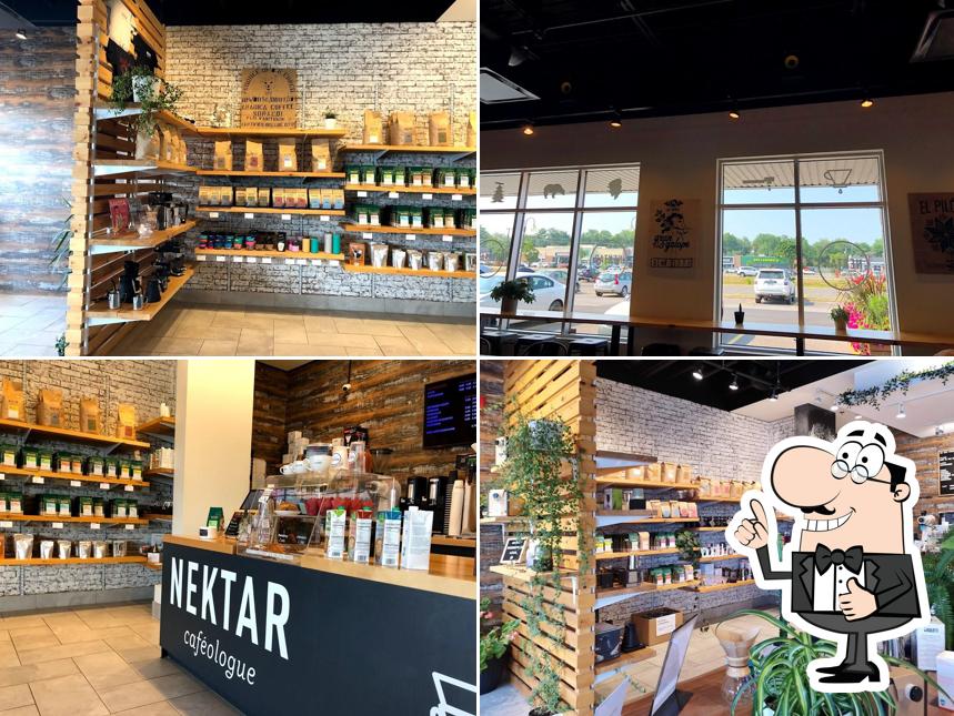 Nektar Caféologue