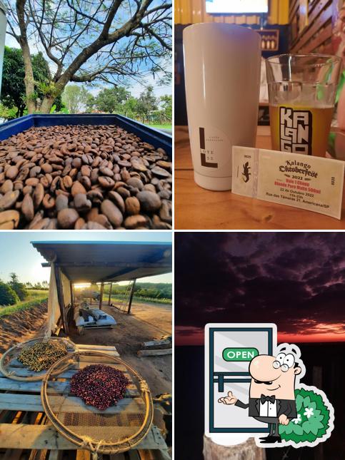 Produtor de café especial em torrinha LOTE33