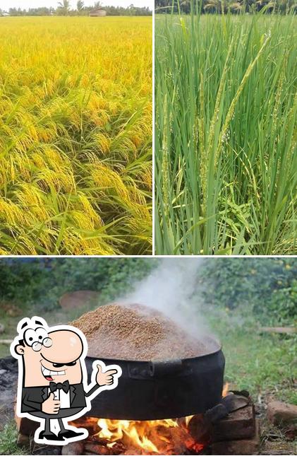 See the photo of K S R Mills - PAMBA Rice