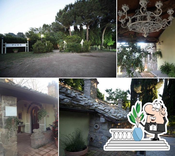 Ristorante Puro