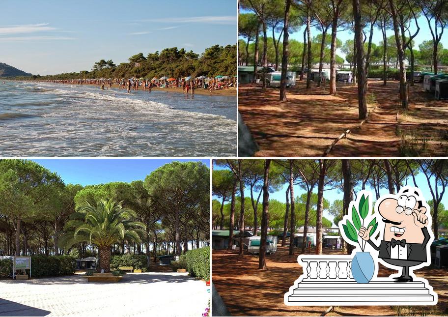 Camping Village Voltoncino