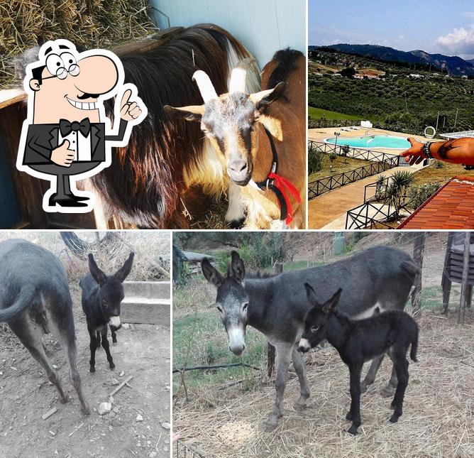 Foto di La Collina Dolce