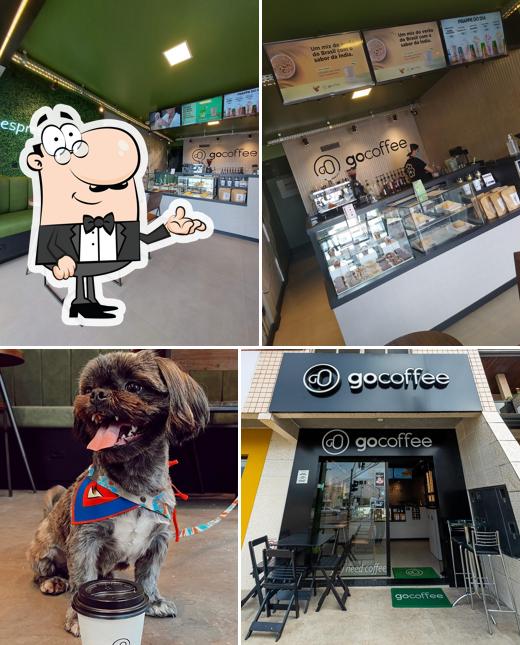 O interior do Go Coffee Pinhais