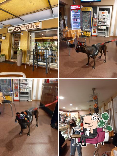 Dai un'occhiata agli interni di Bar La Ruota Di Riccardo Franchi