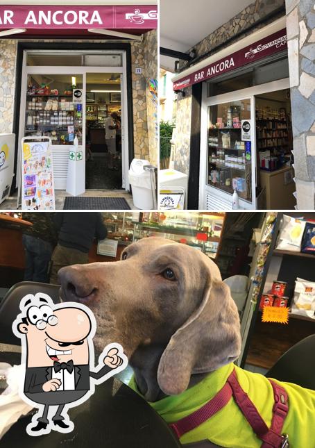 Gli interni di Bar L'ancora