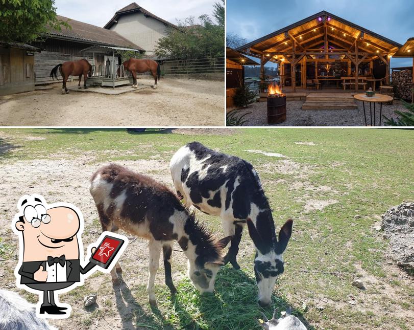 Gli esterni di Restaurant Rütihof, Gränichen