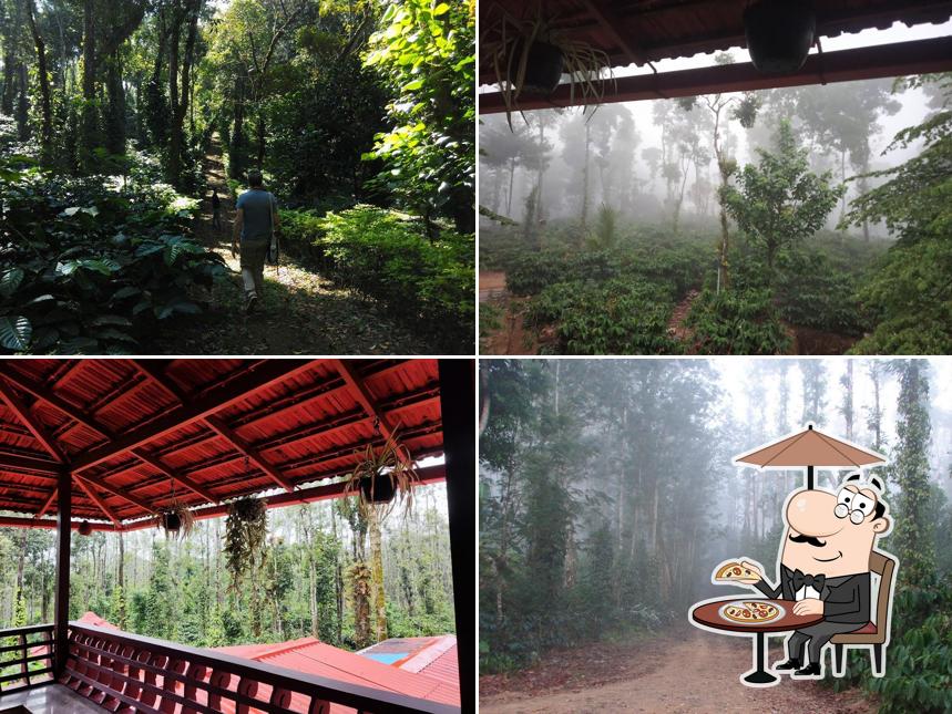 Check out how Heights Farm Stay Coorg looks outside