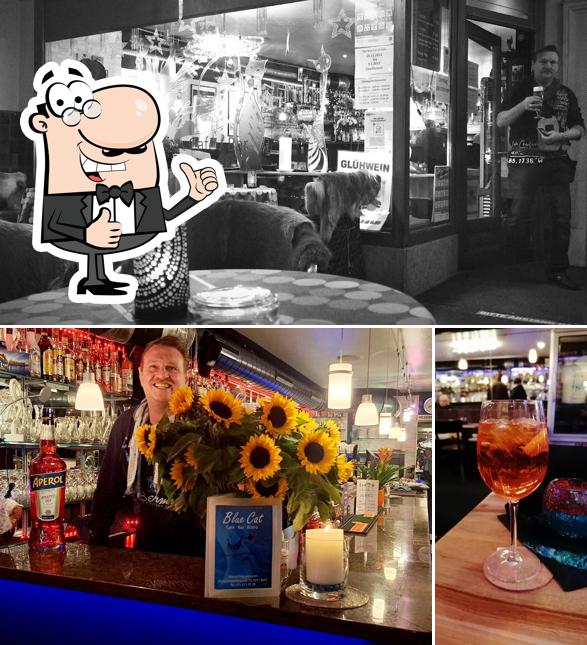 Guarda questa immagine di Bistro Blue Cat GmbH