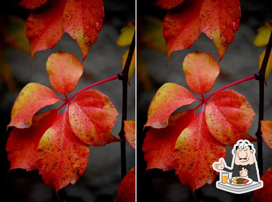 Meals at Osteria Succo D'Uva