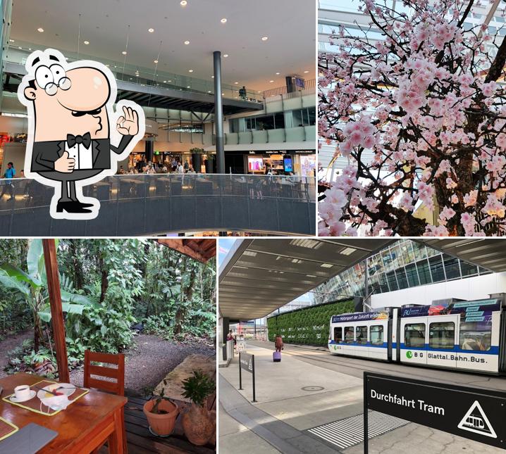 Vedi questa immagine di The Circle