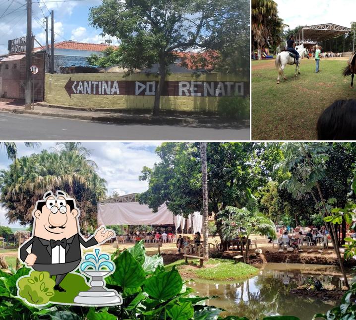 Veja imagens do exterior do Fazendinha Du Renato