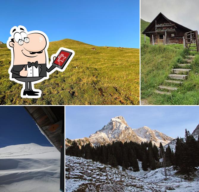 Birehütte