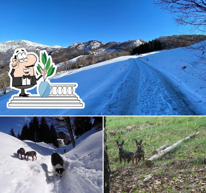 L'area esterna è una caratteristica importante di Stella Alpina