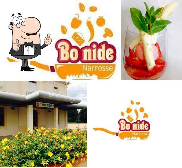 Le bo nide Narrosse