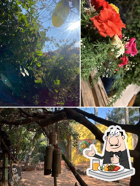 Check out the picture showing food and exterior at The Last Stop Backpackers Hostel