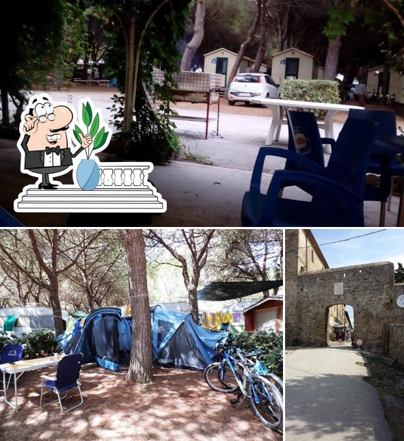Gli esterni di camping sant'albinia