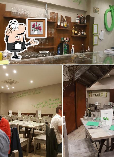 Dai un'occhiata agli interni di Vasinikò