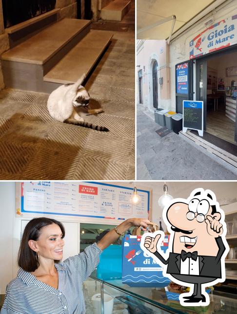 Gli interni di Gioia di Mare