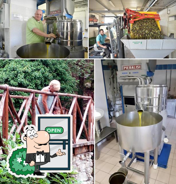 Forno a legna e frantoio oleario "Degli Ulivi" di Ricci Antonio