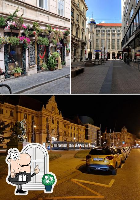 Guarda gli esterni di Bulldog Zagreb