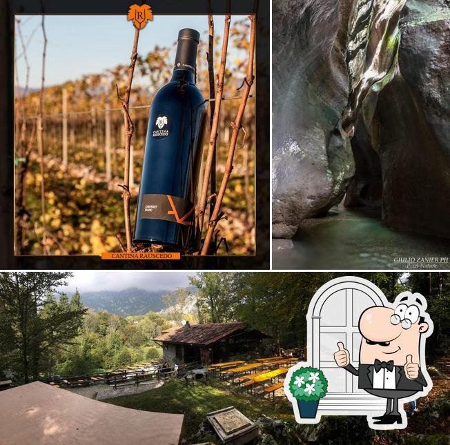 Agriturismo Alle Radici si caratterizza per la esterno e vino