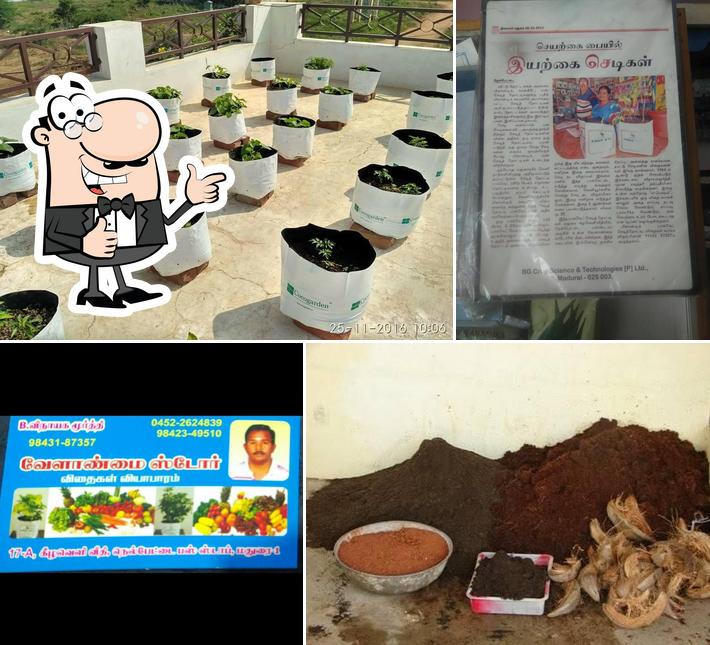 Madurai Kitchen Garden