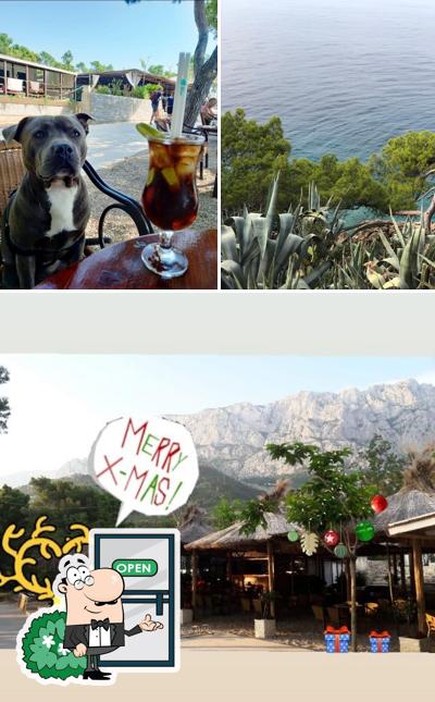 Tra le varie cose da Beach Bar Neverin si possono trovare la esterno e tavolo da pranzo