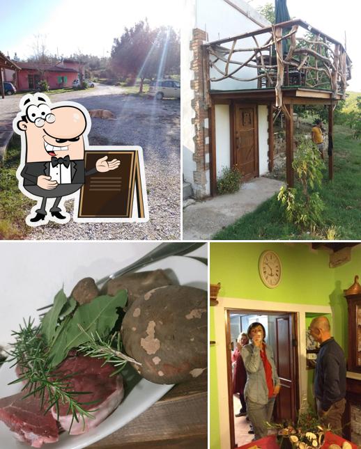 Gli esterni di Agriturismo Podere i Livelli