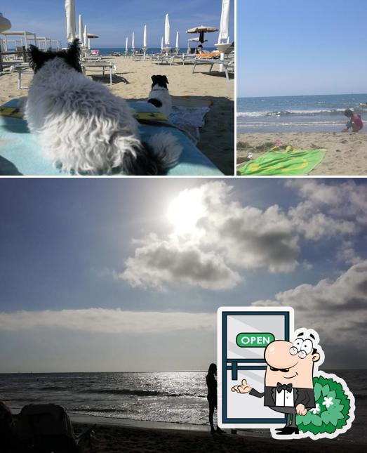 Puoi goderti l'aria fresca dal dehors di Spiaggia Il Paguro