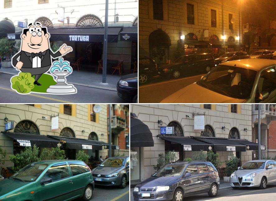 Guarda gli esterni di Tortuga