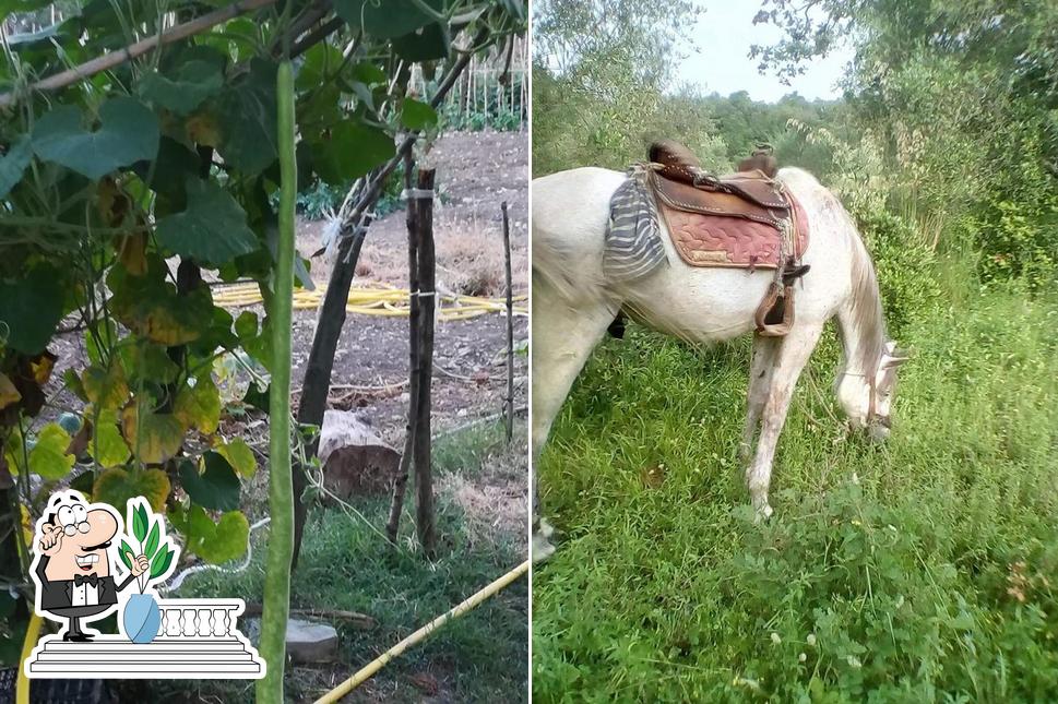 Gli esterni di Agriturismo La Petrosa