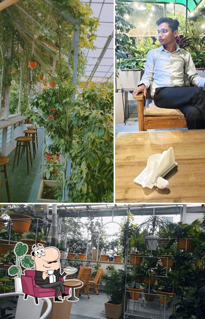 Check out how The Greenhouse Cafe looks inside