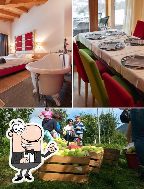 La immagine della interni e esterno di Agriturismo Wellness IL TEMPO DELLE MELE