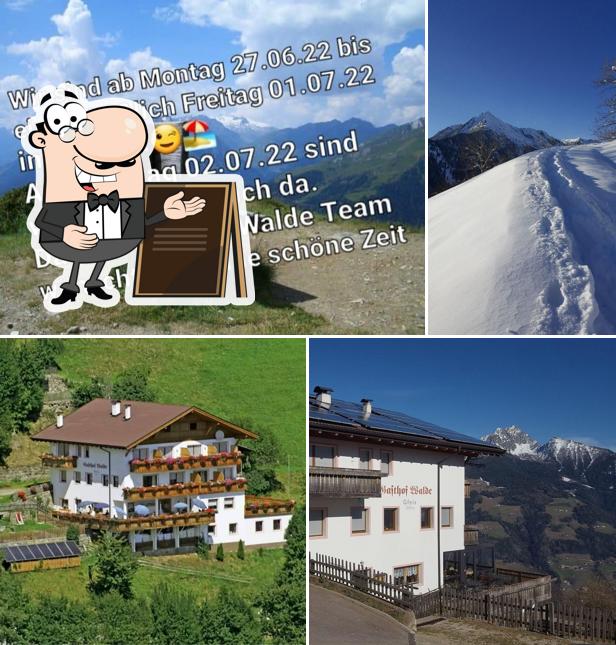Puoi goderti l'aria fresca da seduto all'esterno di Gasthof Walde