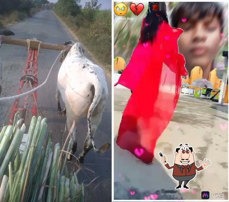 Food at Nagpur Restaurant