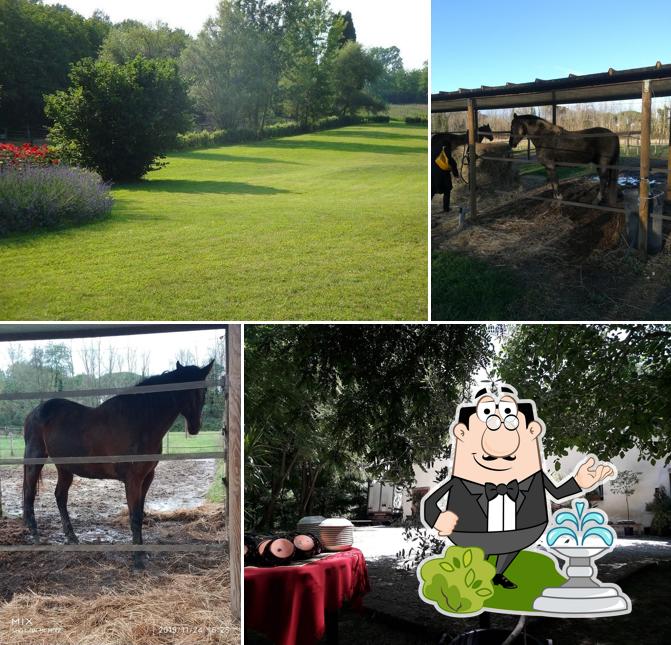 Gli esterni di Ristorante - Azienda Agricola "La Sorgente"