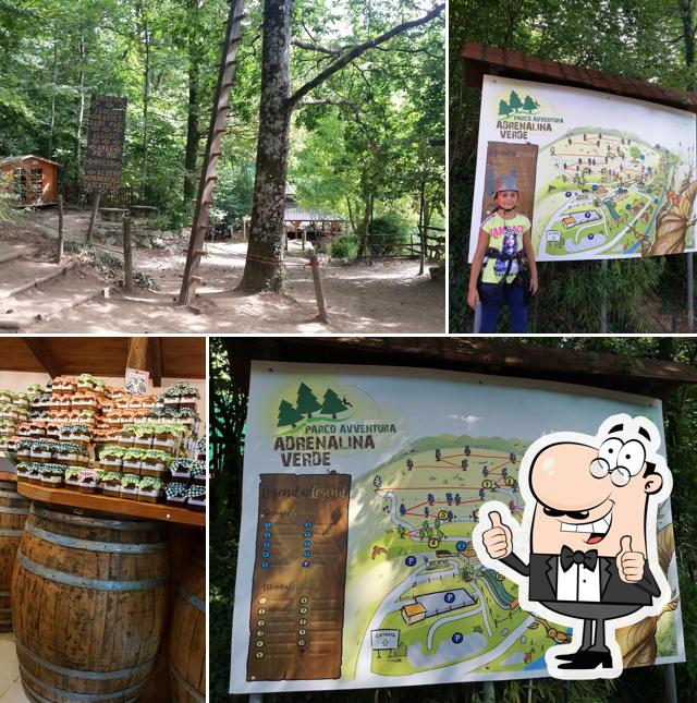 Parco Avventura Adrenalina Verde