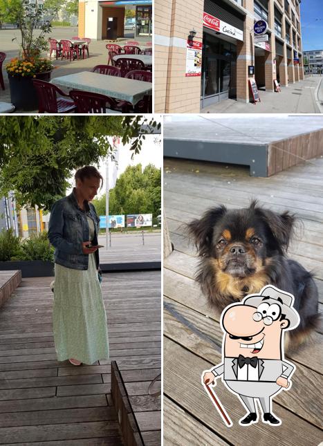 Gli esterni di Cucina