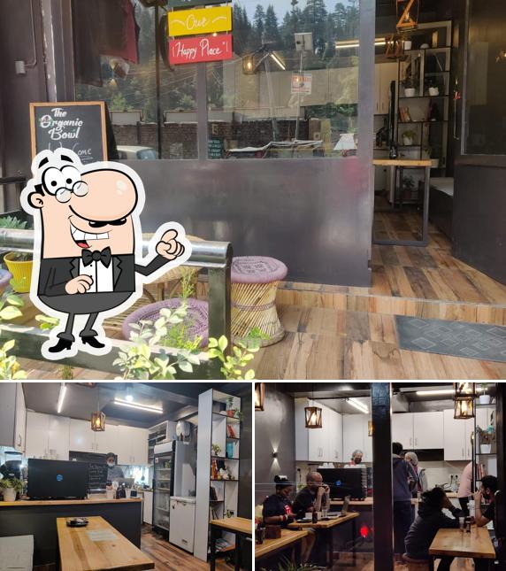 Check out how The Organic Bowl Best Cafe In Manali Coffee Place looks inside