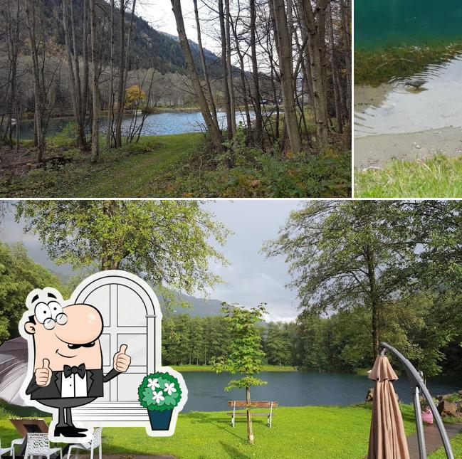 Curiosa tra l'area esterna di Grotto Laghetti Audan