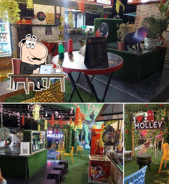 The interior of Molley Food Plaza