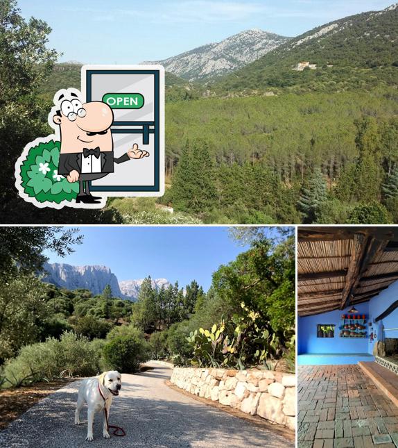 Guarda gli esterni di Su Gologone Experience Hotel