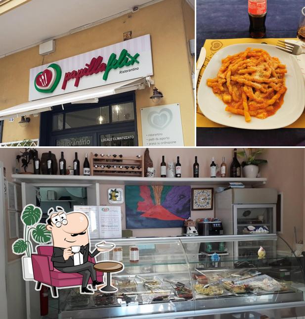 Dai un'occhiata agli interni di Papilla Felix
