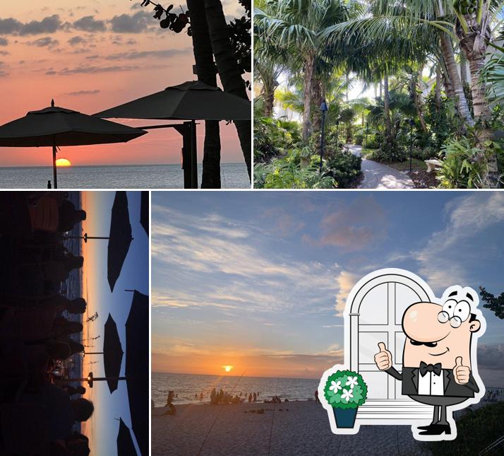 The Turtle Club, Naples - Restaurant menu, prices and reviews