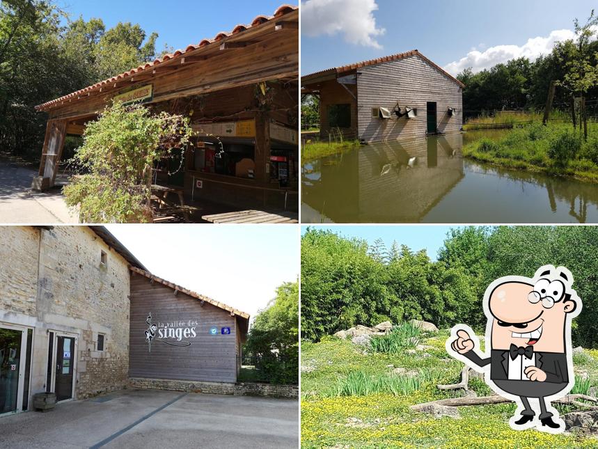 La Hutte des Gorilles
