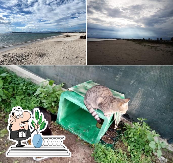 Goditi la vista dagli esterni di McDonald’s Quartu Sant'Elena Poetto