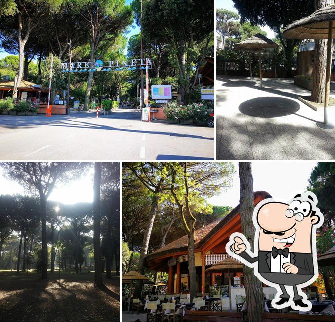 Guarda gli esterni di Le Ghiandaie