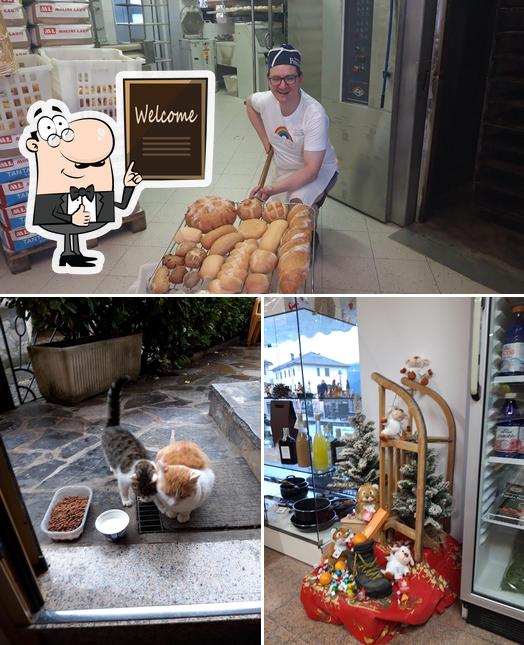 Vedi la foto di Mazzucco Panificio Alimentari